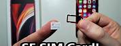 Picture of Sim Card Holder in iPhone SE 2020