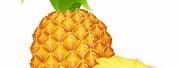Pineapple Fruit Graphic