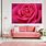 Pink Rose Wall Art