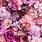 Pink Vintage Flower iPhone Wallpaper