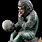 Planet of Apes Statue