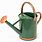 Plant Watering Can
