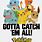 Pokemon Gotta Catch Em All Meme