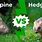Porcupine versus Hedgehog