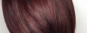 Pravana Light Mahogany Brown Hair Color
