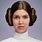 Princess Leia Hair