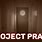 Project Pravus Game