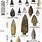 Projectile Point Types