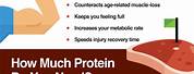 Protein Consumption for Weight Loss