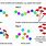 Protein Digestion Enzymes