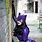 Purple Catwoman