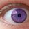 Purple Eye Color
