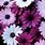 Purple Flower Lock Screen