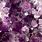 Purple Gem iPhone Wallpaper