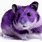 Purple Hamster