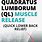 QL Muscle Pain Symptoms