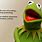 Quotes From Kermit the Frog