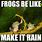 Rain Frog Meme