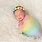 Rainbow Baby Girl