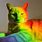 Rainbow Cat Wallpaper
