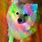 Rainbow Dog Cat