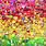 Rainbow Emoji Background