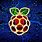 Raspberry Pi 4 Logo