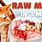 Raw Cat Diet