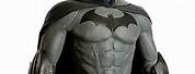 Real Life Batman Arkham City Costume