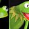 Real Life Kermit Frog
