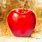 Realistic Apple Painting