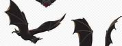 Realistic Black Bat
