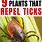 Repel Ticks