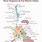 Rhone Valley Wine Map