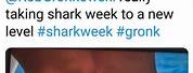 Rob Gronkowski Shark Week
