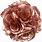 Rose Gold Color Flowers