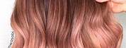 Rose Gold Tips On Brown Hair
