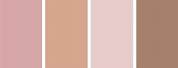 Rose Gold vs Blush Pink