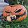 Rotting Pumpkin From Halloween