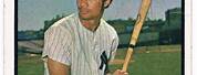 Roy White NY Yankees