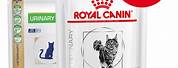 Royal Canin Urinary Wet Cat Food