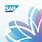 SAP Fiori Icon
