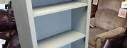 Sage Green Bookcase