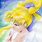 Sailor Moon Angel