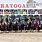 Saratoga Springs Horses