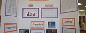 Science Project Poster board