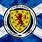 Scottish Flag Logo