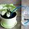 Self Watering System for Indoor Plants