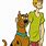 Shaggy Scooby Doo Cartoon