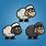 Sheep Sprite